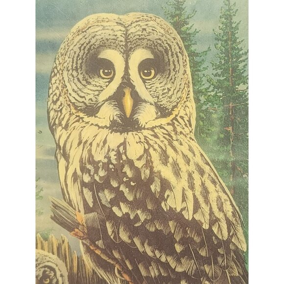 Vintage Great Grey Owl With Owlets‎ Wooden Wall Nature Scene Signed Steve Miller - Picture 5 of 8